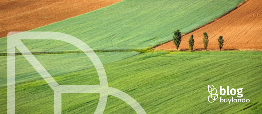 Działki na sprzedaż: jak ocenić ROI, płynność i scenariusze wyjścia?