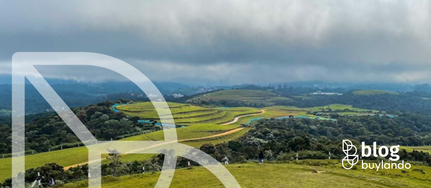 Sprzedaż działek budowlanych: jak zwiększyć wartość działki przed wystawieniem oferty?