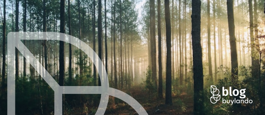 Las na sprzedaż: kiedy to aktywo, a kiedy zobowiązanie?