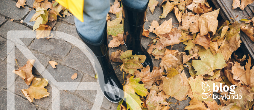 Zimowy przegląd działki: co sprawdzić, zanim spadnie pierwszy śnieg?