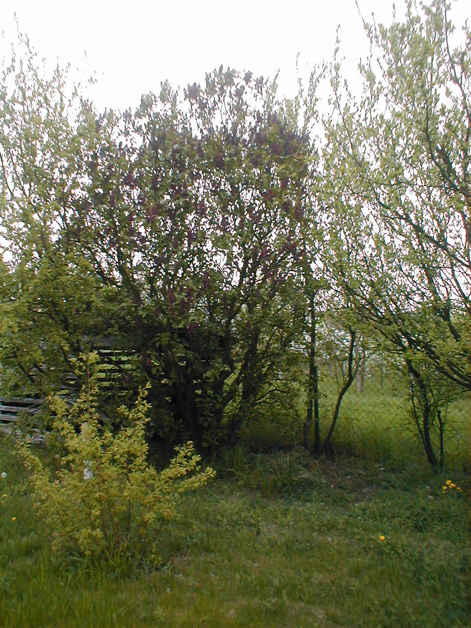 Gallery 2