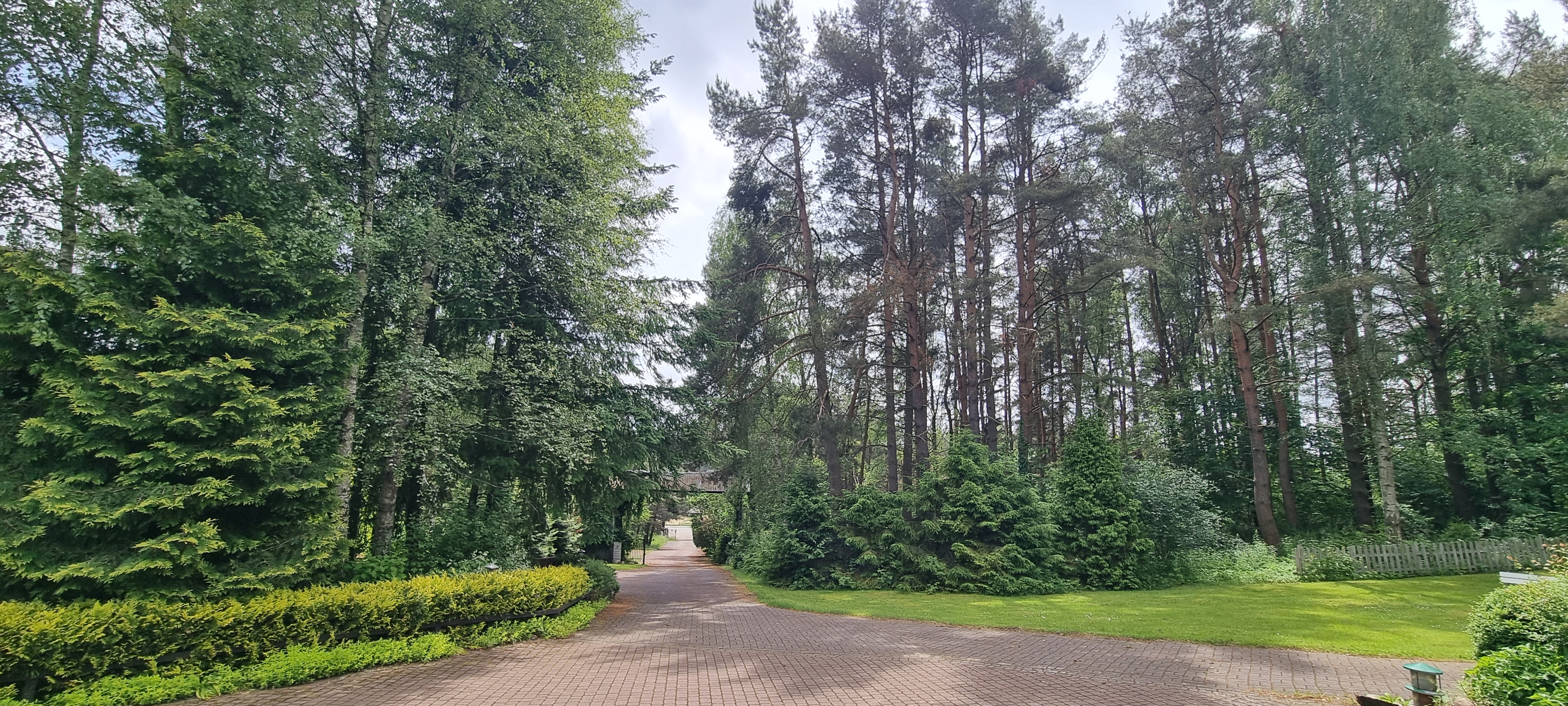 Działka inwestycyjna na sprzedaż - Szemud - 221509_2.0011.478/25