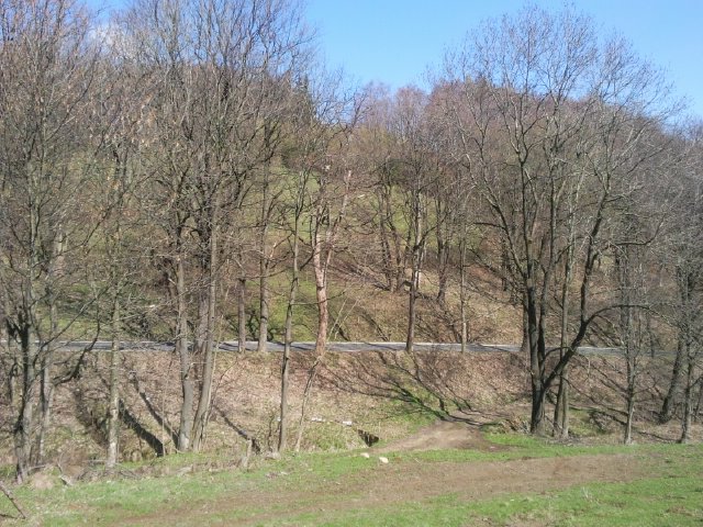 Gallery 1