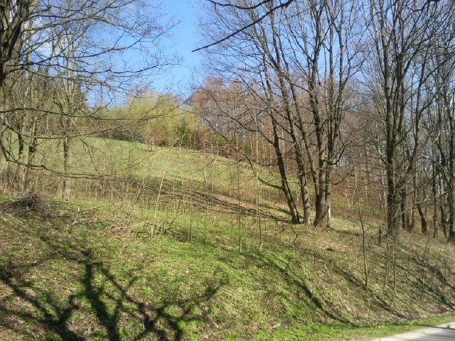 Działka budowlana na sprzedaż - Pieszyce - obszar wiejski - 020203_5.0004.23